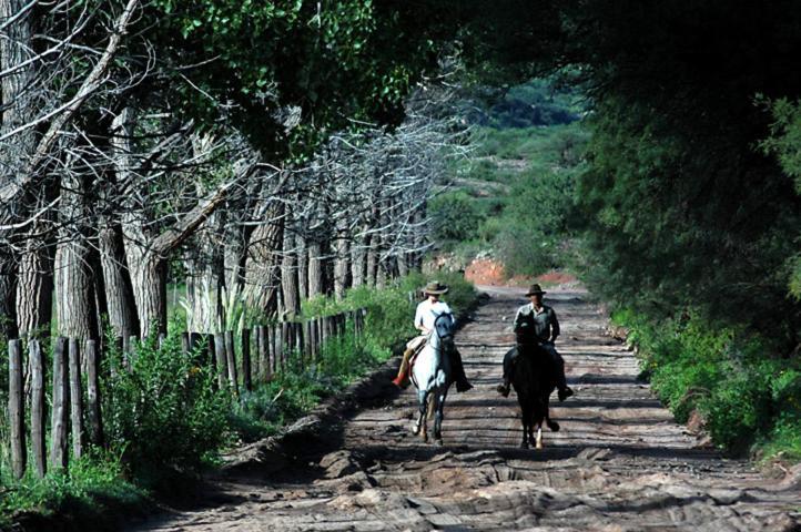 Estancia Colome Molinos Buitenkant foto