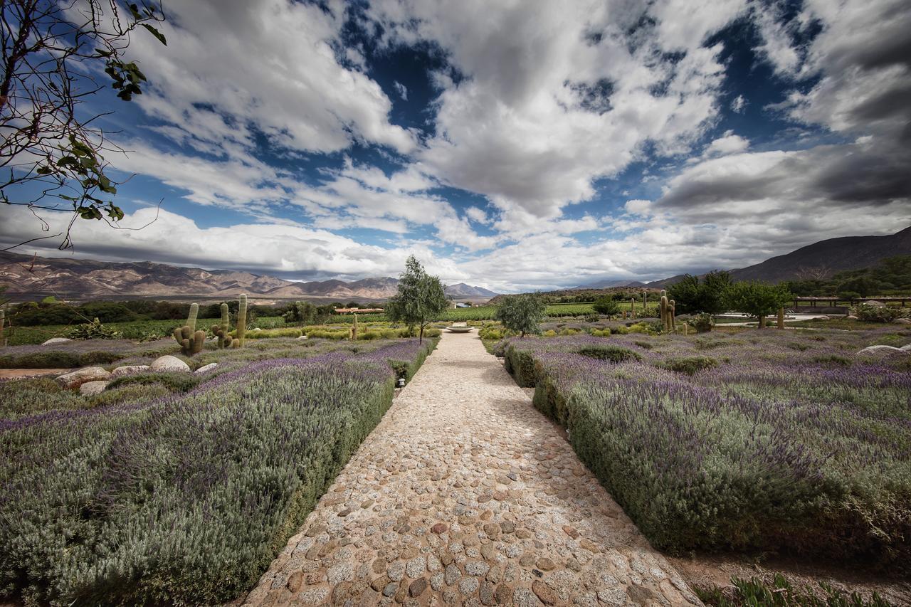 Estancia Colome Molinos Buitenkant foto